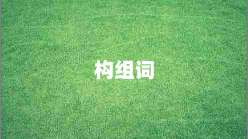 構(gòu)組詞