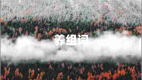 養(yǎng)組詞