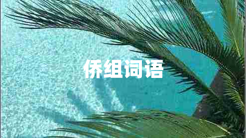 僑組詞語