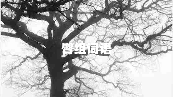 臀組詞語