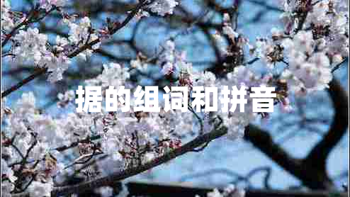 據(jù)的組詞和拼音