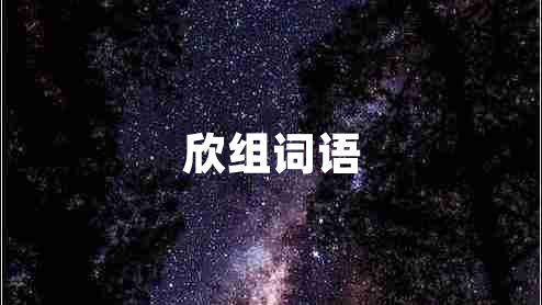 欣組詞語