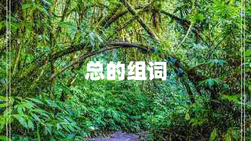 總的組詞