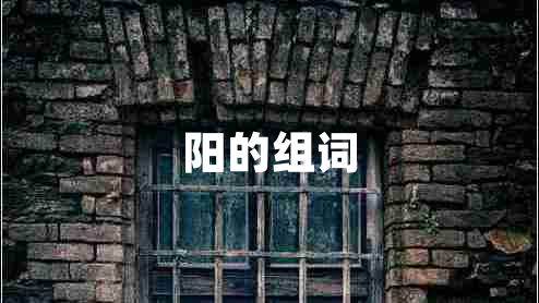 陽的組詞