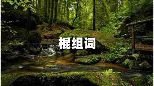 棍組詞