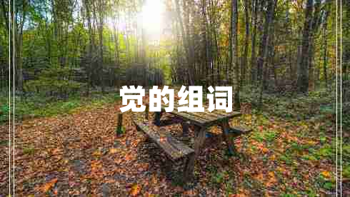 覺的組詞