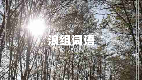 浪組詞語