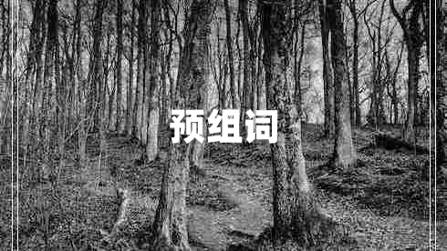 預(yù)組詞