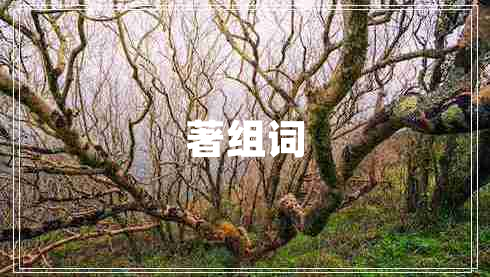 著組詞