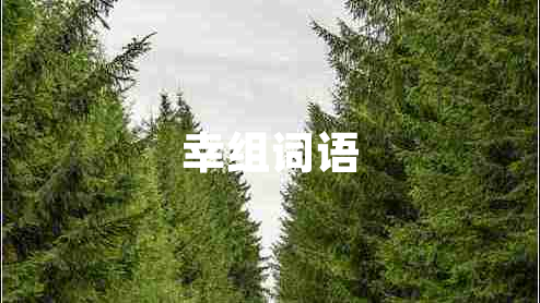 幸組詞語