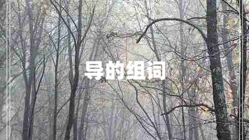 導(dǎo)的組詞