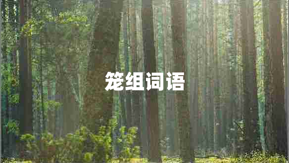 籠組詞語