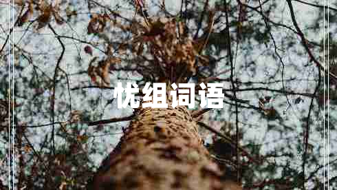 憂組詞語(yǔ)