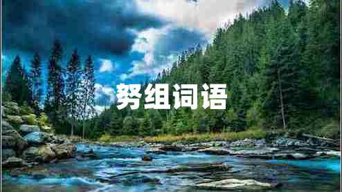 努組詞語