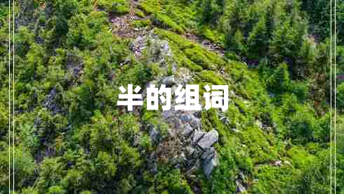 半的組詞