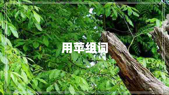 用蘋組詞