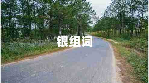 銀組詞