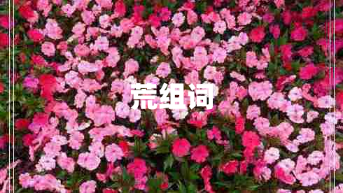 荒組詞
