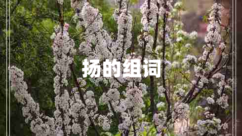 揚(yáng)的組詞
