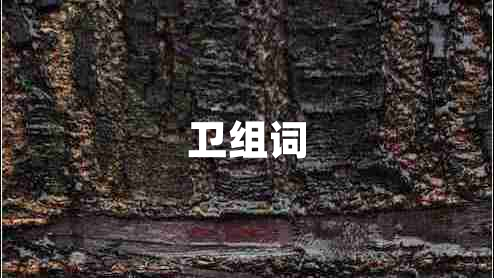 衛(wèi)組詞