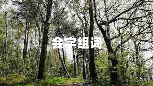 會(huì)字組詞
