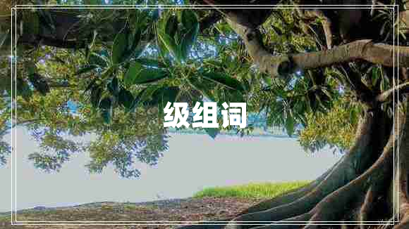 級(jí)組詞