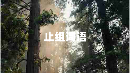 止組詞語