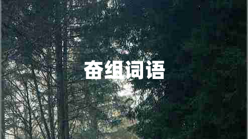 奮組詞語