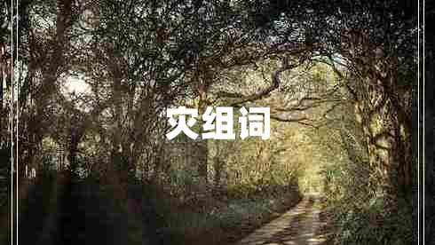 災(zāi)組詞