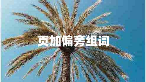 頁加偏旁組詞
