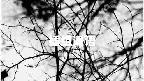 插組詞語