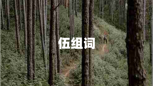 伍組詞