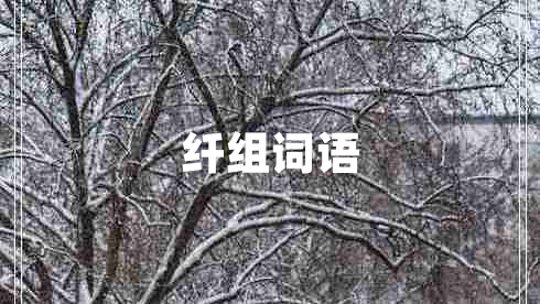 纖組詞語