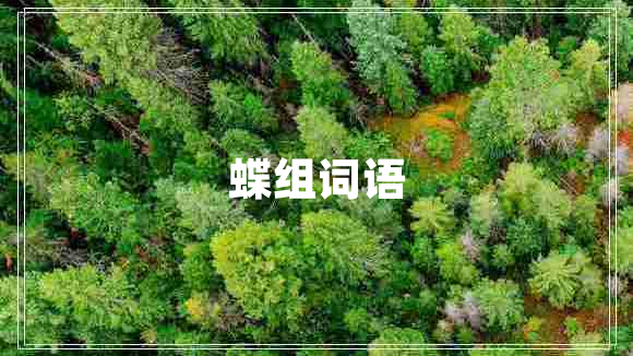 蝶組詞語