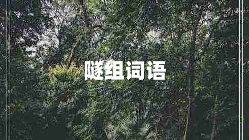 隧組詞語