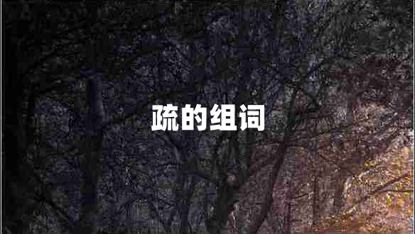 疏的組詞