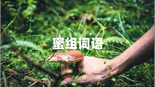 蜜組詞語