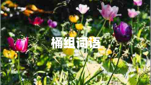 桶組詞語