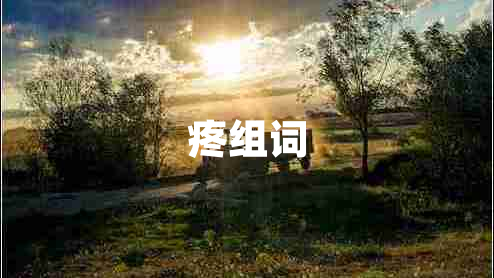 疼組詞