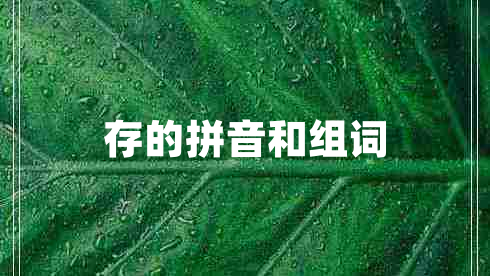 存的拼音和組詞