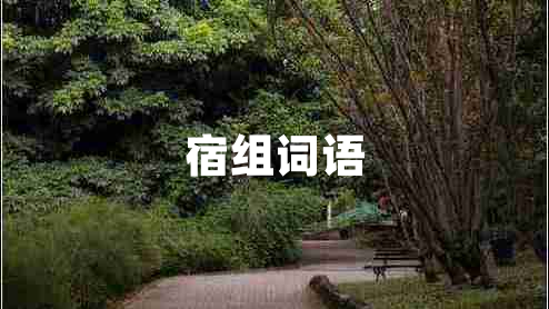 宿組詞語