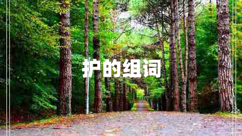 護(hù)的組詞