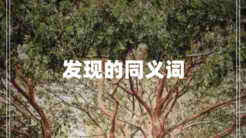發(fā)現(xiàn)的同義詞