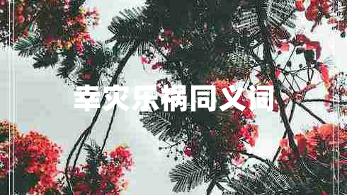 幸災(zāi)樂禍同義詞
