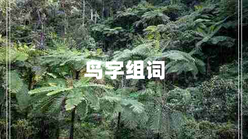 鳥字組詞