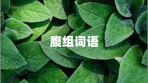 腹組詞語