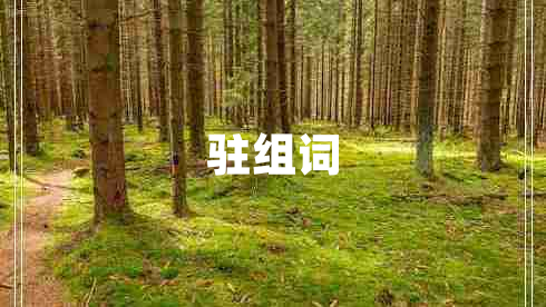 駐組詞