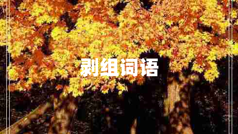 剝組詞語