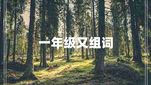 一年級(jí)又組詞