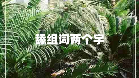 舔組詞兩個字